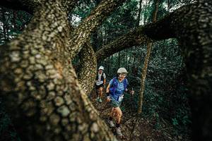 BIB: 
                            <button type="button" onclick="openModal(25393331)" class="btn btn-primary btn-sm float-right btn-popup" data-toggle="modal" data-target=".modal-high-quality">
                        <i class="fas fa-shopping-cart"></i> Add to Cart
                    </button>
                                            <button type="button" onclick="isThisMe(25393331, true)" class="btn btn-success btn-sm float-right btn-popup btn-isme hidden" data-toggle="tooltip" data-placement="bottom" title="นี่คือรูปของคุณใช่ไหม คลิกที่นี่เพื่อเอาเข้าอัลบั้ม">
                        <i class="fas fa-plus"></i> Add to album
                    </button>
                    <button type="button" onclick="isThisMe(25393331, false)" class="btn btn-warning btn-sm float-right btn-popup btn-isnotme hidden">
                        <i class="fas fa-ban"></i> Remove from album
                    </button>